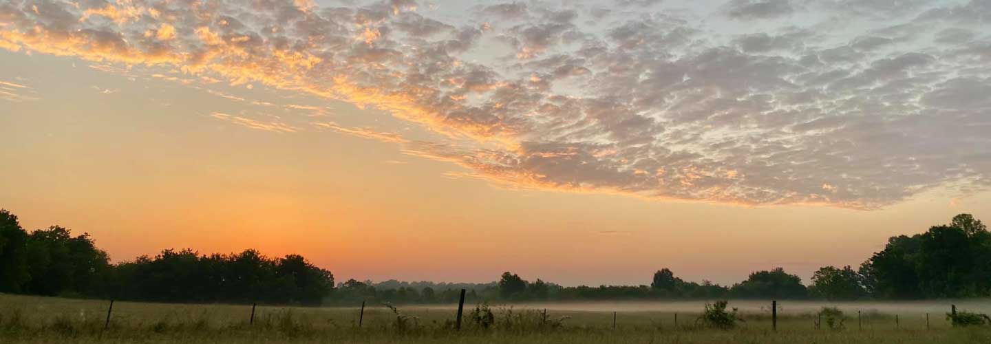 Landscape photo of field with low hanging fog at sunrise.