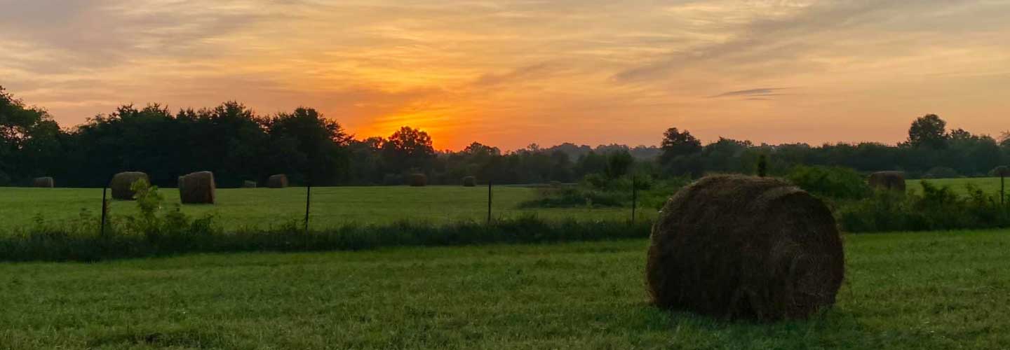 Landscape photo. Field on a farm at sunrise with baled hay in the foreground.