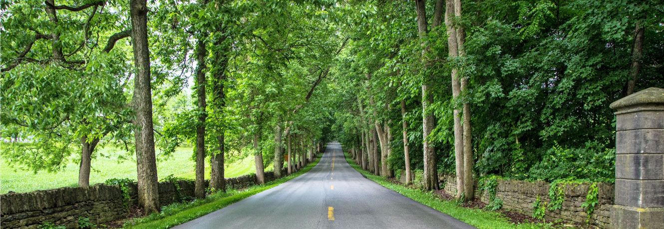 Two lane road lined on both sides by stacked rock wall and mature trees. Rural area in horse country of Fayette County, KY.
